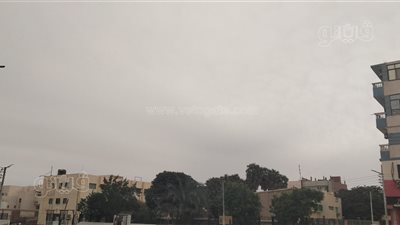 أمطار خفيفة وغيوم تكسو سماء واحات الوادي الجديد 