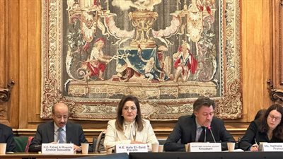 وزيرة التخطيط تشارك في 