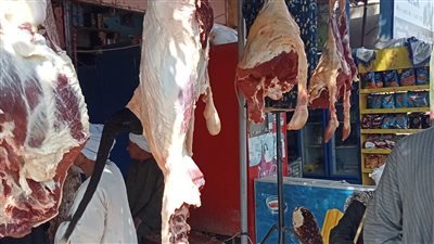 بيطري الأقصر: ضبط 30 كيلو لحوم ذبحت خارج المجزر وإعدام 7 كيلو مصنعة 