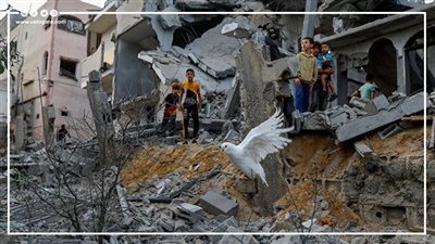 بعد 140 يوما من العدوان.. إحصائيات صادمة لمجازر الاحتلال في غزة (انفوجراف)