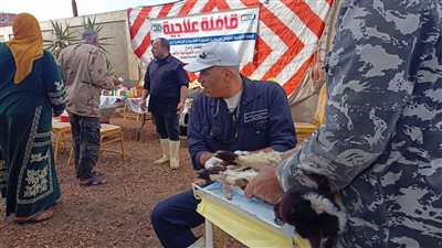 البحوث الزراعية يطلق قافلة بيطرية مجانية إلى القليوبية