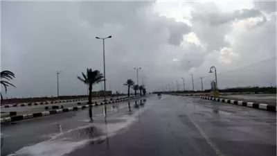 حالة الطقس غدًا الأحد 25-2-2024 في مصر