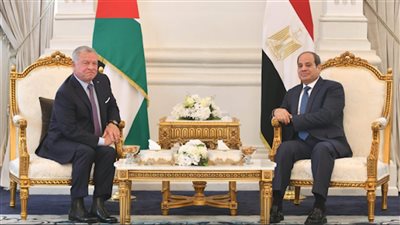 جمال بيومي: استمرار الجهود المصرية الأردنية المشتركة لوقف العدوان على غزة 