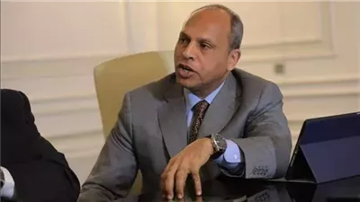 المستشار رضا صقر: البنية التحتية الحديثة تؤهل مصر لجذب أفضل الاستثمارات