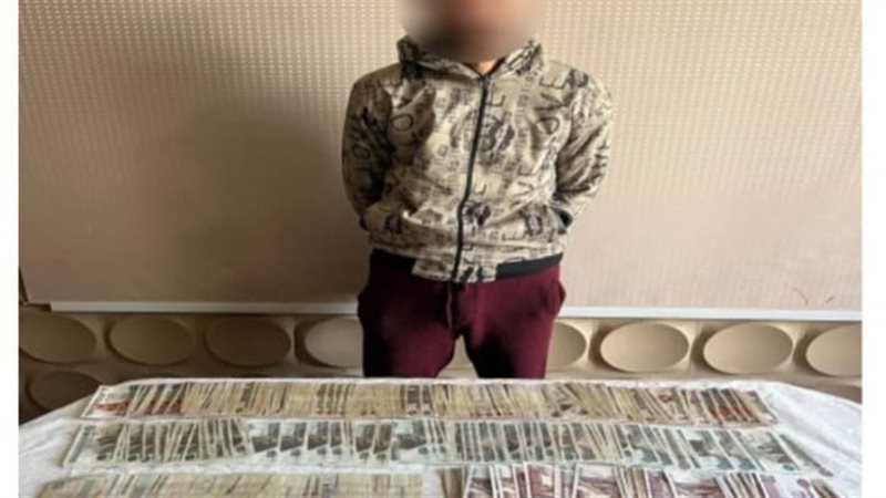 حبس المتهمين، فيتو