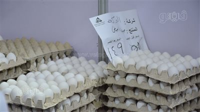 سعر كرتونة البيض بمعرض أهلا رمضان في العمرانية (صور)