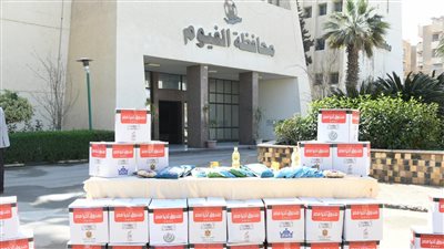 صندوق تحيا مصر يسلم الفيوم 551 طن مواد غذائية لدعم الأسر الفقيرة