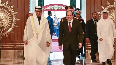 كل ما تريد معرفته عن تطور الشراكة الاستراتيجية بين مصر والإمارات في عهد السيسي وبن زايد