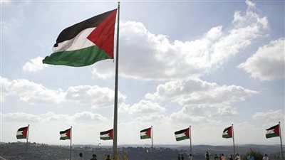 وزير الخارجية الأيرلندي: نسعى للاعتراف بالدولة الفلسطينية