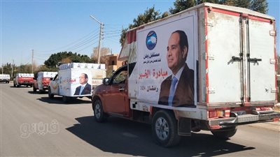 توزيع 5 آلاف كرتونة مواد غذائية على الحالات الأولى بالرعاية بقرى الوادي الجديد