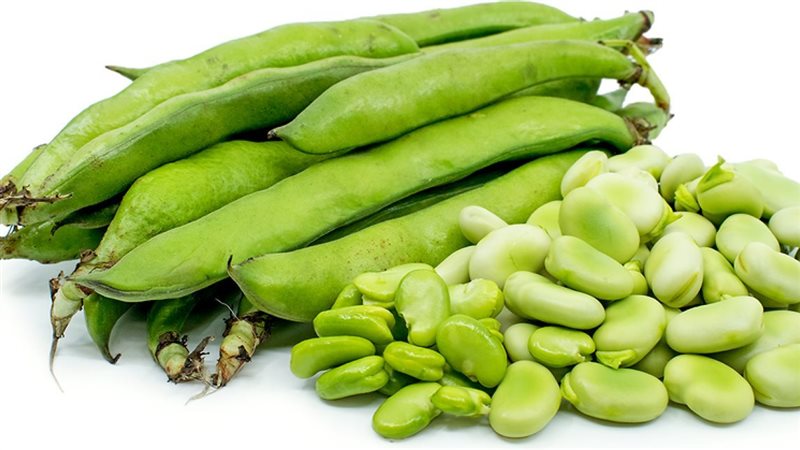 فوائد الفول الاخضر،