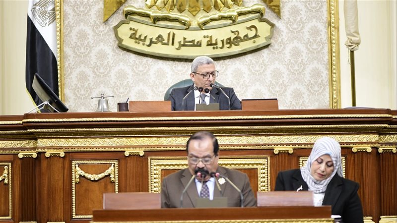مجلس النواب، فيتو