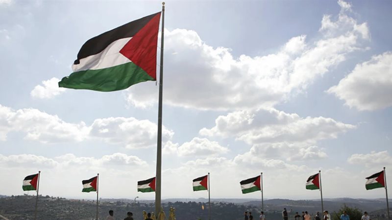 فلسطين، فيتو