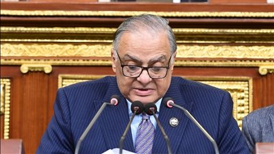 لضبط الأسواق ومواجهة الاحتكار.. النواب يناقش تعديل قانون حماية المستهلك 