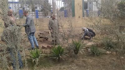  استمرار أعمال مبادرة 100 مليون شجرة بالمنيا