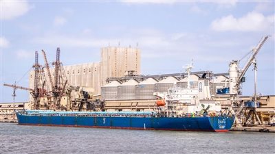 مصر تتسلم 52 ألف طن قمح روسي عن طريق ميناء دمياط