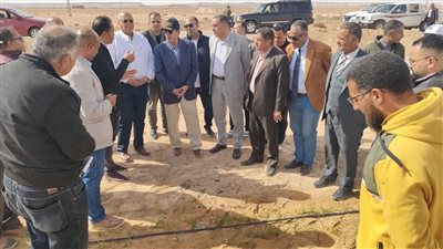 ضمن مبادرة 100 مليون شجرة، محافظ شمال سيناء يسلم المنتفعين في تجمع النثيلة الأشجار المثمرة