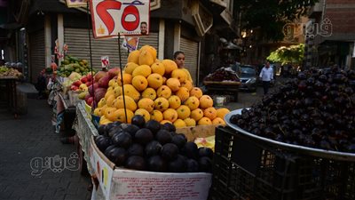  أسعار الفاكهة اليوم، البرتقال يرتفع لـ 8 جنيهات في سوق العبور