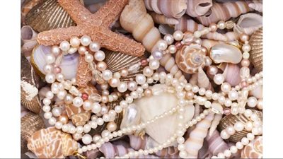 “أشوف البخت واضرب الودع”.. الأصداف عملة وزينة وتميمة للحظ 