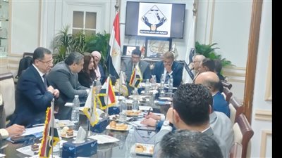 تفاصيل نقاشات التنسيقية لتحديات الصحف القومية 