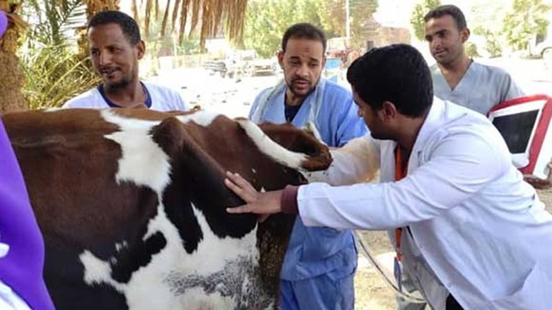 قافلة بيطرية بالجيزة،
