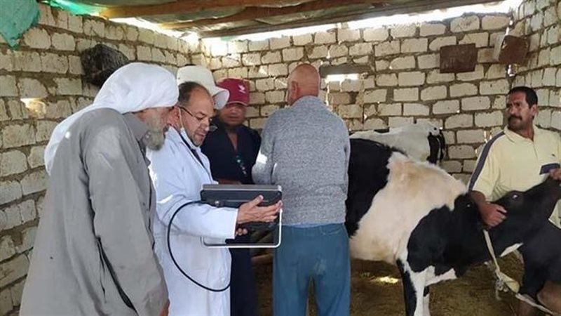 حملة بيطرية في الجيزة،فيتو