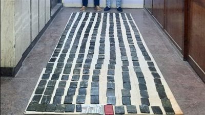 ضبط عنصرين إجراميين بحوزتهما 25 كيلو حشيش بـ1.7 مليون جنيه بالإسكندرية