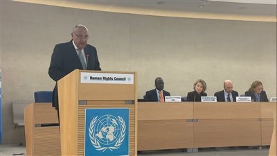 سامح شكري: صمت العالم أمام جرائم إسرائيل في غزة ينبئ بانهيار مجلس حقوق الإنسان