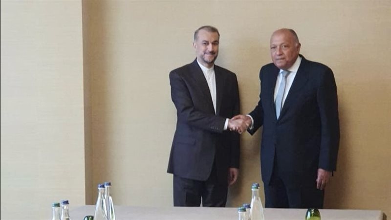 سامح شكرى وزير الخارجية