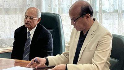 حسين هريدي: مصر تقف بمفردها في مواجهة العدوان الصهيوني دون حليف استراتيجي 