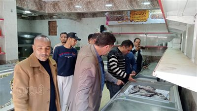 ضبط أسماك وفسيخ ولحوم مجمدة منتهية الصلاحية في حملة ببني سويف