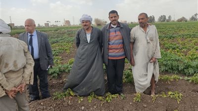 الزراعة تتابع تراخيص المشاتل في 4 محافظات