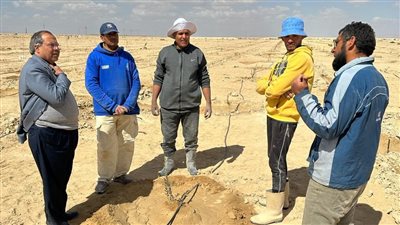 الزراعة تواصل دعم المنتفعين من مشروع التجمعات الزراعية في شمال سيناء