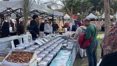 تصل لـ 500 جنيه.. تعرف على أسعار البلح بمعرض القاهرة الدولي للتمور 