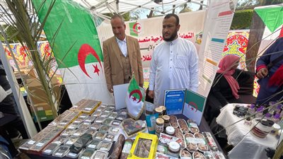 دقلة نور.. أبرز المنتجات الجزائرية المعروضة بمهرجان القاهرة الدولي للتمور (فيديو)