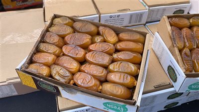 البسيسة الجبلية ودبس التمر، أبرز المنتجات الليبية بمعرض القاهرة الدولي للتمور (فيديو)
