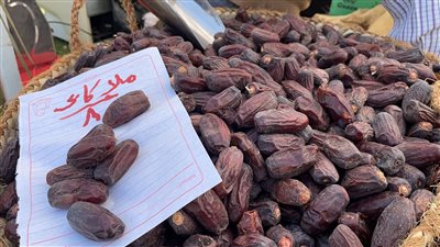  الملاكابي والسكوتي، أبرز أنواع التمور الأسوانية بمهرجان القاهرة الدولي (فيديو) 
