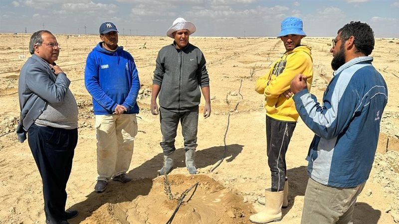 تفقد اعمال 