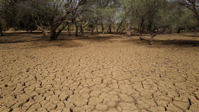 نضب للنفط وتحول الأراضي الزراعية إلى غبار.. 