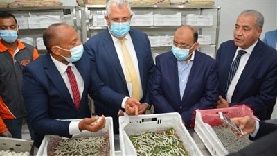 وزير التنمية المحلية يتفقد مشروع واحة الحرير بالوادى الجديد