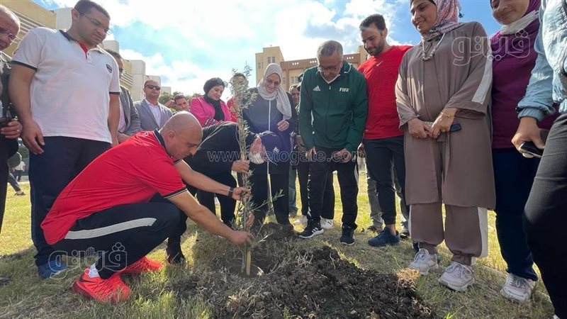 المبادرة