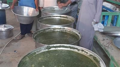 «ليلة الملوخية».. احتفالات أهالي العقاربة بالمولد النبوي الشريف في الأقصر | صور 