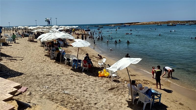 الاسكندريه