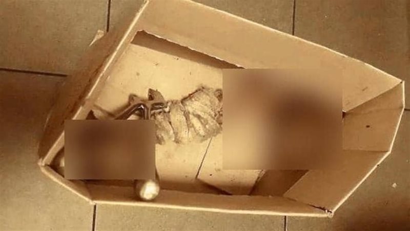 بقايا عظام بشرية