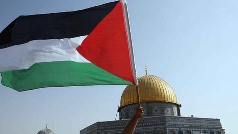 فلسطين، فيتو