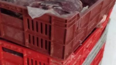 أخبار الإسكندرية اليوم | 250 ألف جنيه دعما لمراكز الشباب 