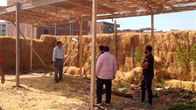 ٢٩٣ حالة حصيلة حملات الإزالة المكثفة بالدقهلية 