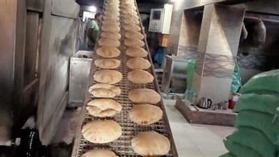 تحرير 50 محضرا متنوعا وإعدام أغذية غير صالحة في حملة تموينية بالدقهلية 