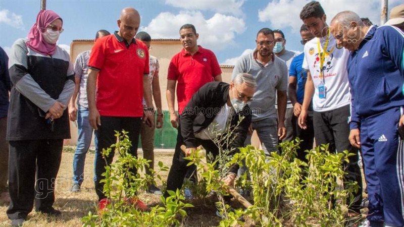 رئيس جامعة طنطا