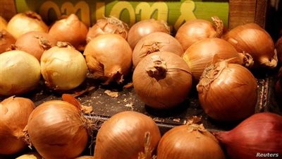 بعد إصابة المئات بالسالمونيلا في 37 ولاية.. تحذير أمريكي من البصل المستورد